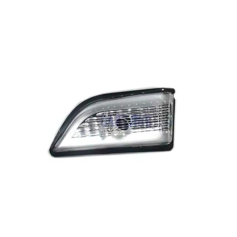 Lampada a specchietto laterale di alta qualità 31217288 Segnale di svolta Ricambi auto per Volvo XC60 2008-2013
