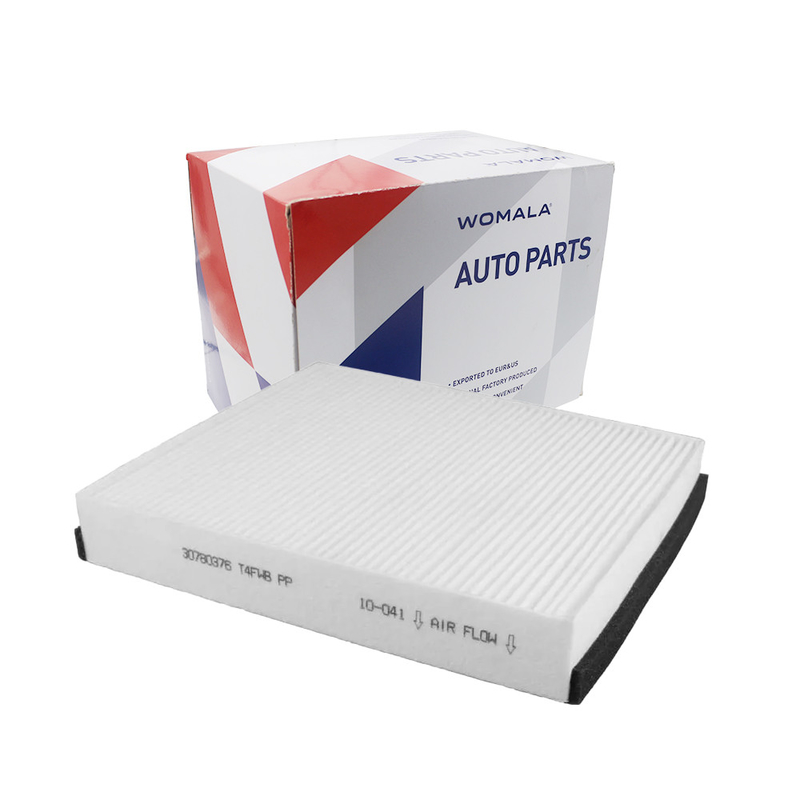 Filtro dell'aria della cabina 30780376 Per i modelli XC90 XC70 S80 V70 S60 C70