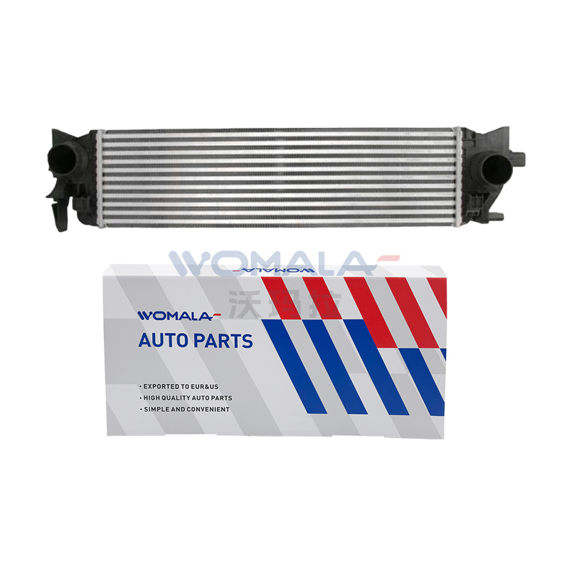 Womala Intercooler OE 31338306 per Volvo S60/S90 V60/V90 XC60/XC90 Ricambi auto