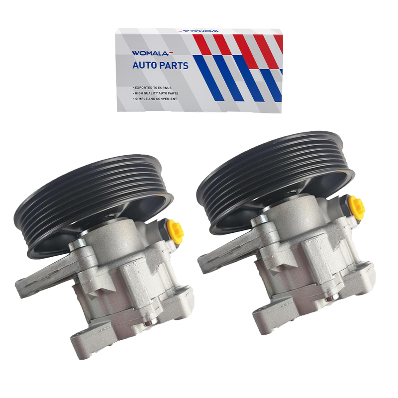 Pompa servosterzo Womala OE 0044668501 Riferimento OEM per Mercedes Benz ML350 Componenti del sistema sterzante