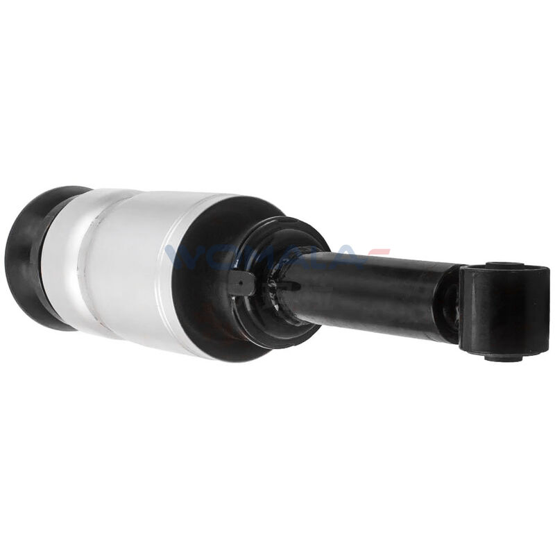 Womala RNB501580 Assorbitore anteriore per Land Rover Discovery 3 RNB501250 RNB501180
