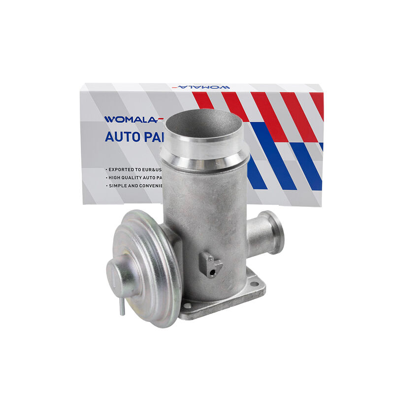 Valvola di ricircolo dei gas di scarico OE 11717792077 Valvola EGR per BMW