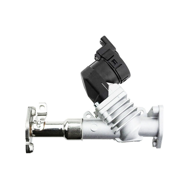 Womala Auto Parts EGR Valve 11717563241 11718479590 per BMW Serie 1/3/5