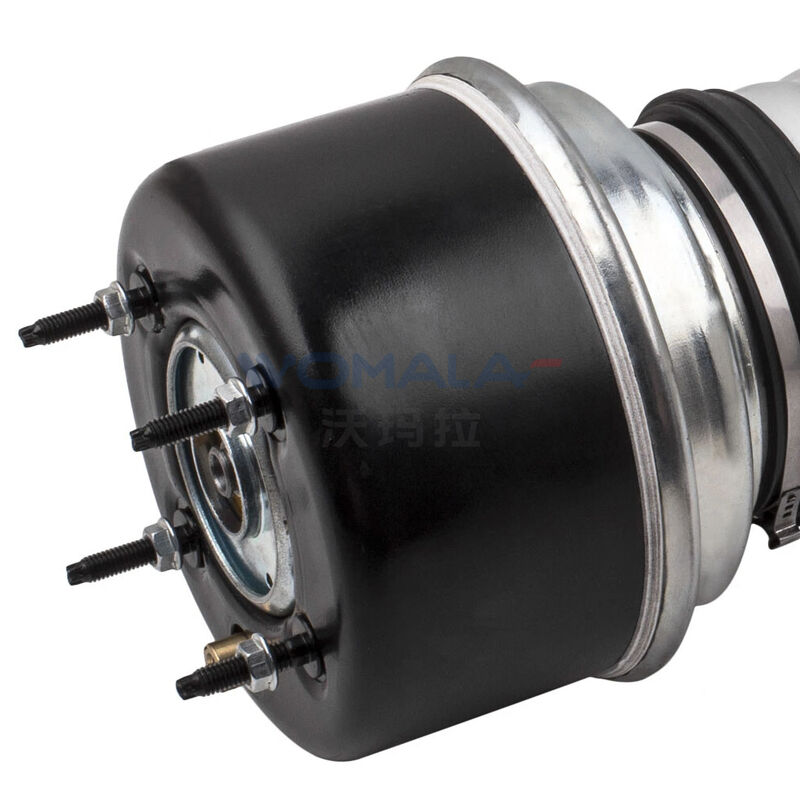 Womala Air Spring Front & Strut per Jaguar C2C41339 Assorbitore di urti di sospensione a aria