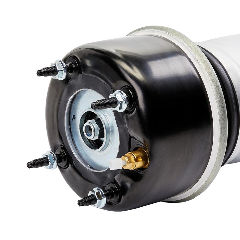Womala Auto Parts Assorbente di scosse d'aria posteriore C2D33847 per Jaguar XJ X351