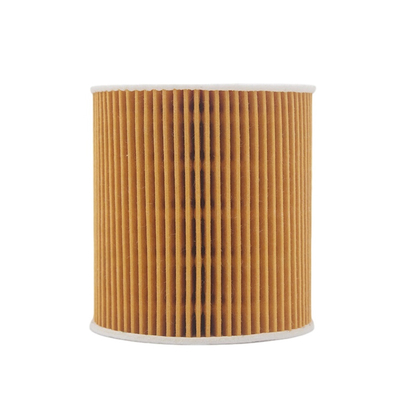 Elemento filtrante del filtro dell'olio dell'automobile S60 S80 XC90 1275810